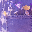 lavender-lifts avatar