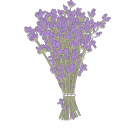 lavender-system avatar