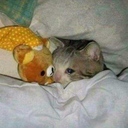 lavenderanger avatar