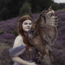 lavenderdreamfox avatar