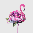 lavenderflamingos avatar