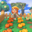 lavenderhaven avatar