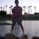 lavenderlemon avatar