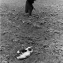 lavenderprada avatar