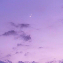 lavenderr-hazee avatar