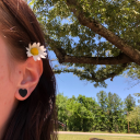 lavenders-lover avatar