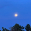 lavendersdaydreams avatar