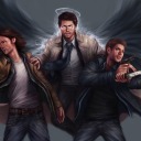 lavenderwolflover avatar