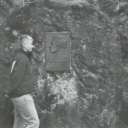 lavenderxnights avatar