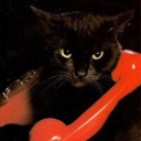 lavenillarose avatar