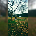 lavidanoestanbella1 avatar