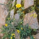 lavieestbelle811 avatar