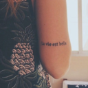 lavieestbellebaebae avatar