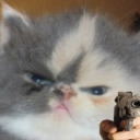 lawfulflowergiver avatar