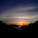 lawlessorders avatar