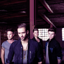 lawsondaily avatar