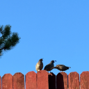 lawstudiesandme avatar