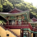 lawyerreaderfandomer avatar