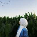 laylandmajnun avatar