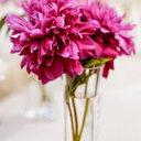 laytashnicole avatar