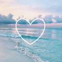 lazilyfriedland avatar