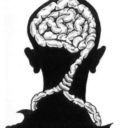 lazy-wasteland-collections-blog avatar