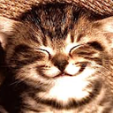 lazyarsebitch avatar