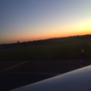 lazybearsgonewild avatar