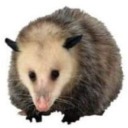 lazydoesvoices avatar