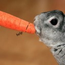 lazymangocarrotondrugs avatar