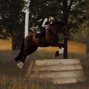 lcsporthorses avatar