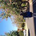 le-petit-prince-egoist avatar