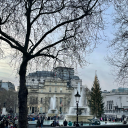 leaboehringer avatar