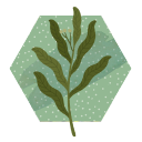 leaf-motif avatar
