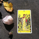 leafmold-and-earth avatar