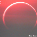 leafsfan12231 avatar