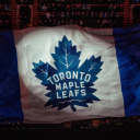 leafsfanperspective avatar