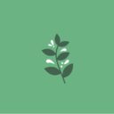 leafybreeze avatar