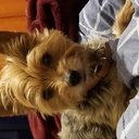 league-of-her-own avatar