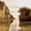 league-of-sims avatar