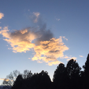 leaguesawayfromhere avatar