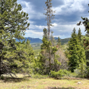 leahs-pizzeria avatar