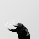 leakycauldron avatar