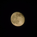 leannastudies avatar