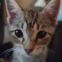 leannesthings avatar