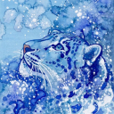 leap-of-snepards avatar