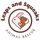 leapsandsqueaks avatar