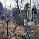 leaptobridges avatar