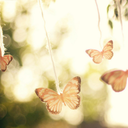 learning--to-live avatar