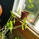 learning-and-compassion avatar